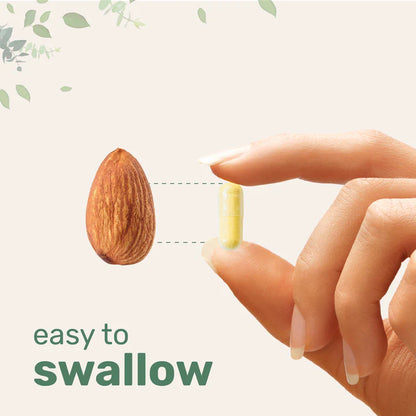 Sunova Saffron+ Advanced